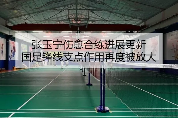 张玉宁伤愈合练进展更新 国足锋线支点作用再度被放大